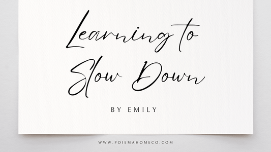 Learning to Slow Down - Poiemahomeco